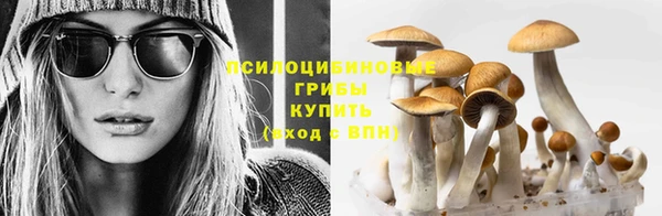 ГАЛЛЮЦИНОГЕННЫЕ ГРИБЫ Алексеевка