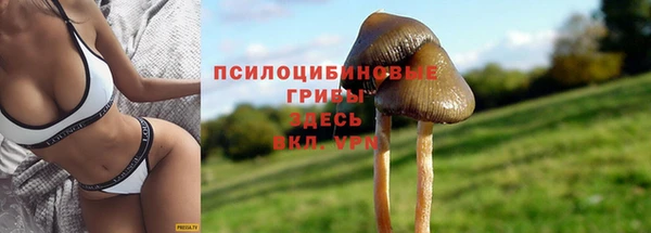 ГАЛЛЮЦИНОГЕННЫЕ ГРИБЫ Алексеевка