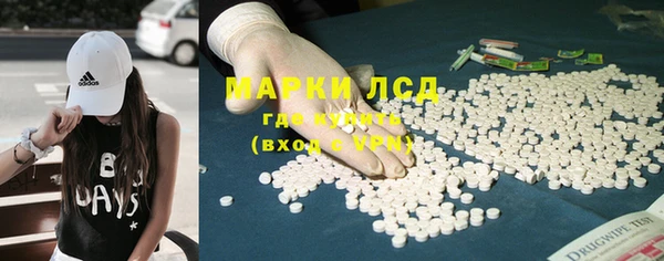 ГАЛЛЮЦИНОГЕННЫЕ ГРИБЫ Алексеевка